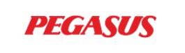 Pegasus Airlines